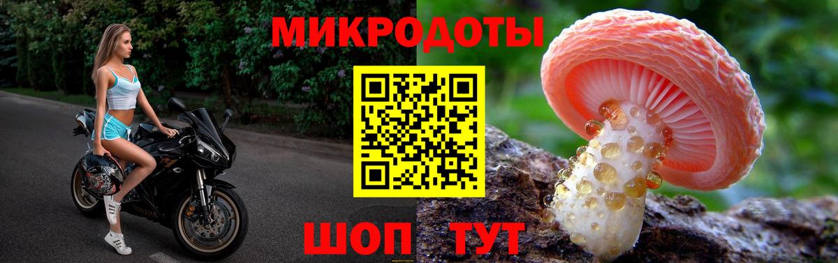 Гулькевичи  Псилоцибиновые грибы ЛСД  Вход с VPN  Псилоцибиновые грибы Psilocybine cubensis 